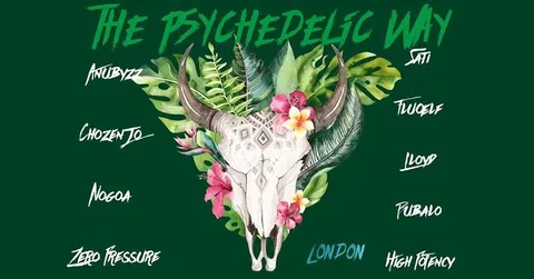 The Psychedelic Way