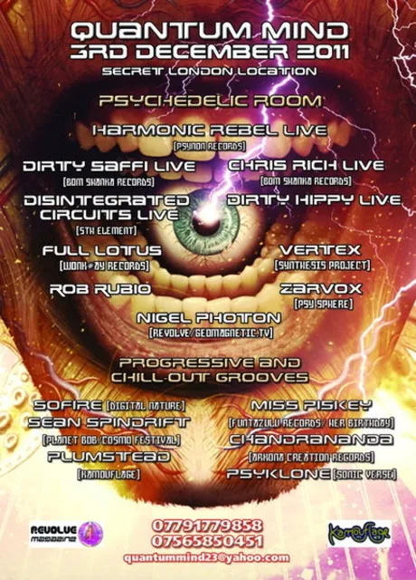 Quantum Mind