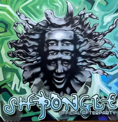 Shpongle Official Afterparty